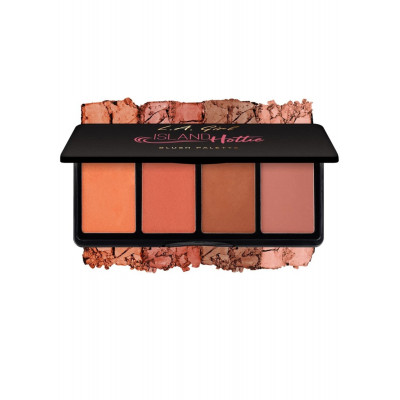 PALETTE DE 4 BLUSH