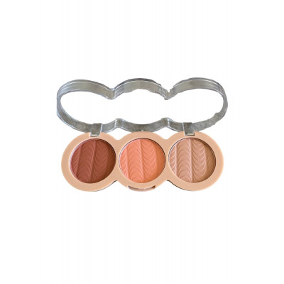 TRIO DE BLUSH N°2