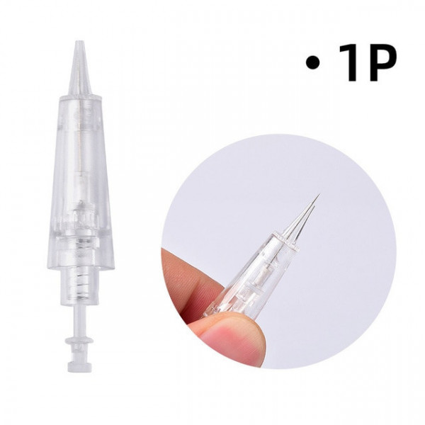 AIGUILLES 1P POINTE 0.30